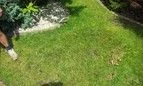 efekt pracy instalatora nawadniania częstochowa