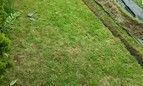 efekt pracy instalatora nawadniania częstochowa